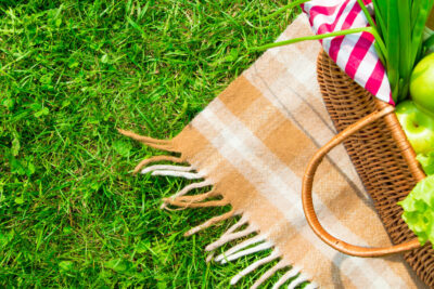 Let’s have a picnic!