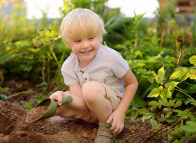 The farmer plants the seeds