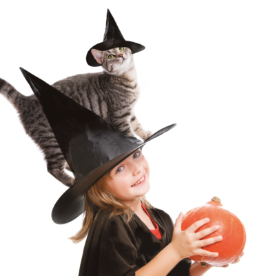 Room on the broom