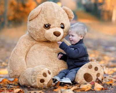 Where’s my teddy?