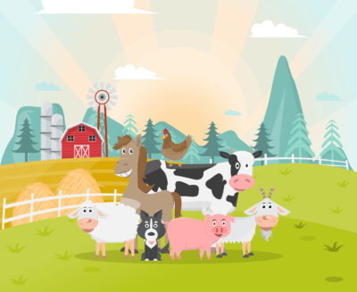 DIY farm animal market