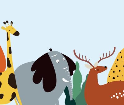 Let’s go to the zoo!