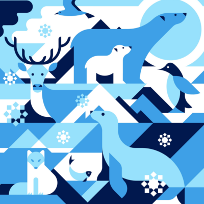 Penguin and friends!